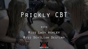 Prickly CBT with Miss Lady Ashley and Miss Devilish Destiny