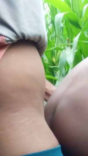 Today my friend took me to the corn field and fucked my ass and fucked me with great pleasure - Hindi voice   Clip 2