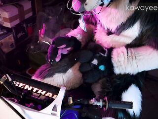 Hyena fursuiter bangs inflatable toy on his dirtbike