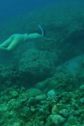 The Little Mermaid