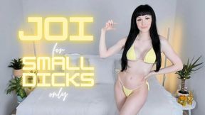 Hot brunette Holly Hardy teases with big fake tits and teaches JOI for small dicks