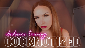 Cocknotized: Obedience Training Eye Contact Challenge