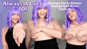 Always A Cuck JOI - Always Cucked and Never Fucked But Still More of a Sex Life Then You Had before! - Cuckolding, Jerk Off Instruction, Humiliation, Female Domination, Femdom with Mistress Mystique Hoops - WMV