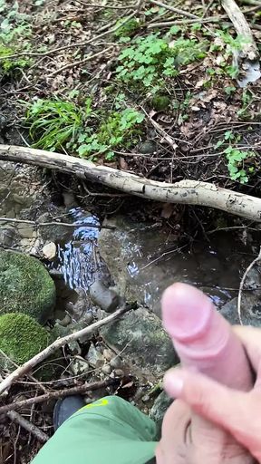 Wixxing in the forest