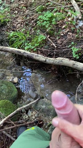 Wixxing in the forest