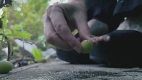 Crushing plums with black sandals