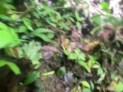 Beautiful cloud forest beautiful masturbation
