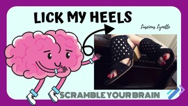 Lick My Heels, Scramble Your Brain