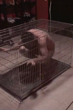 Poked and spitted all over him