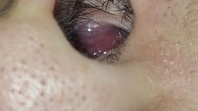 Every Detail of My Nose