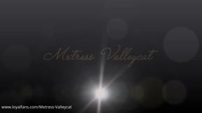 The Furniture Collection