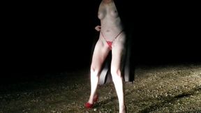 Companion video 1 - the 50 Dollar Thong