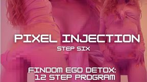FINDOM EGO DETOX PROGRAM: PIXEL INJECTION [STEP 6 out of 12]