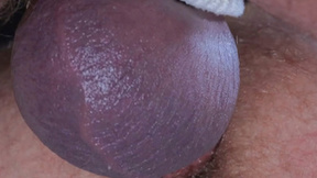 ”PRIDE STUDIOS Young stud, let me show you how it's done”