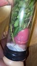 Pumping penis with Nettles inside hardcore dick play nettle masturbation