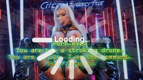 Porn exe: You Are Now a Stroking Drone! You are the file! I am the team! Goon forever!