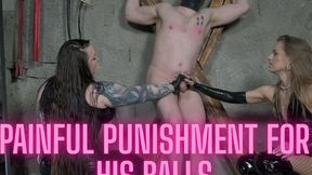 Hard Ballbusting twisting of testicles with Mistress Karino