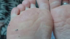 POV Youre Worshiping Millies Filthy Feet