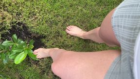 Walking Barefoot on the Grass