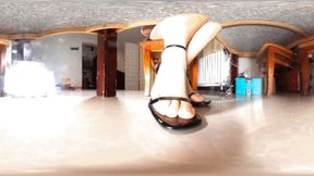 XIAO MI Office Dwarf Virtual Reality 360VR MP4