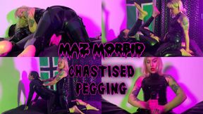 Chastised Pegging ft Mistress Audrey Brynn