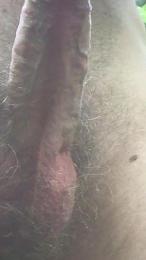 Outdoor Masturbation in the Wood, Hairy Big Dick