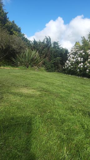 Going for a walk in the park