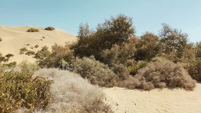 the curious clown  super orgy with viktor rom, pablo y sebas & leo bulgari - cruising at maspalomas dunes!!! - full video!!!