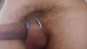 DancingCock-ByDukeprinceitaly