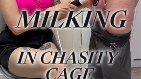 MERCILESS MILKING IN CHASITIY CAGE