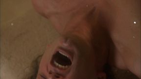 roxy jezel lets a millionaire fuck her asshole in his mansion
