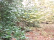 Risky Public Pathway Sex