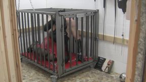 The slave in her cage