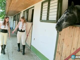 Breasty Riding Academy