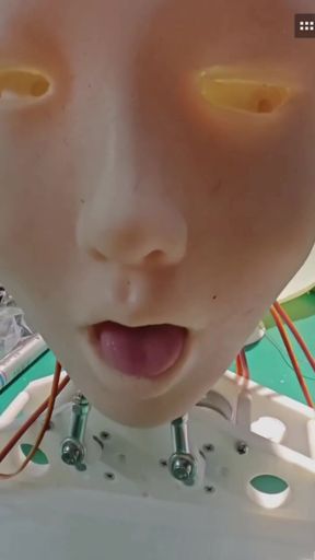 Doll robot gets serviced by a human lover