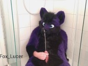 Lucer pissing on himself