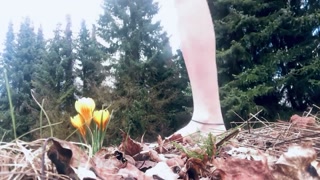 was asked to pee on the yellow flowers - it was windy