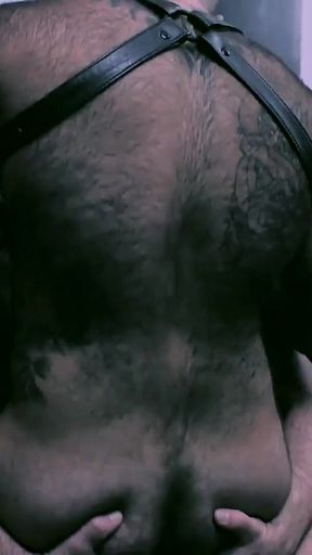 Bearfilms Bearded Gay Marc Giacomo Takes Atlas Grant Hard Cock After Oral