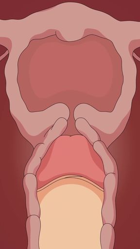 Captivating moment from "HENTAI VIDEO DRAGON BALL Z BULMA"