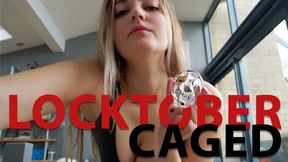 Locktober Event - Locked in Debt for caged bitches