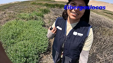 Follamos entre los arbustos, nos escondimos para follar con más emoción, despues de una salida de campo donde nos pusimos cachondos.