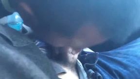 Twink Sucks Big Cock in a Car