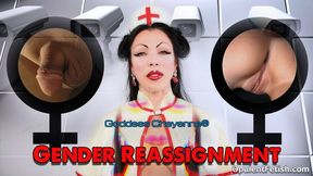 Gender Reassignment MP4