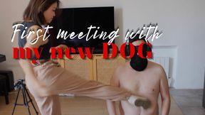First meeting with dog