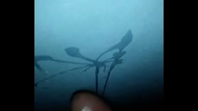 Corrida contra la pared