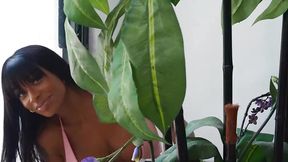 Curvy Wife Plus Petite Cheater Equals Hot & Mean Threesome Nia Bleu &mdash;  Sarai Minx / Brazzers