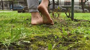 DIRTY FEET WALKING ON GRASS - MOV HD