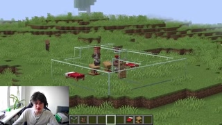 How to make villagers fuck in Minecraft