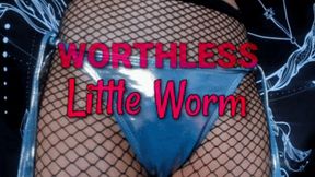 Worthless Little Worm (HD) WMV