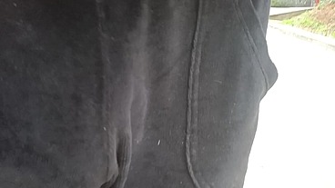Public freeballing and public cum